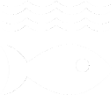 Icon for SDG 14: Life Below Water